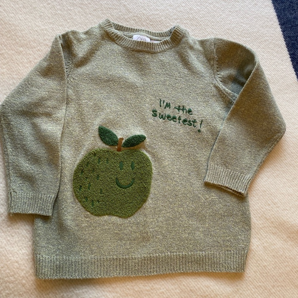 Zara Kids Green Apple Sweater 4–5Y Toddler Neutral Graphic Pullover